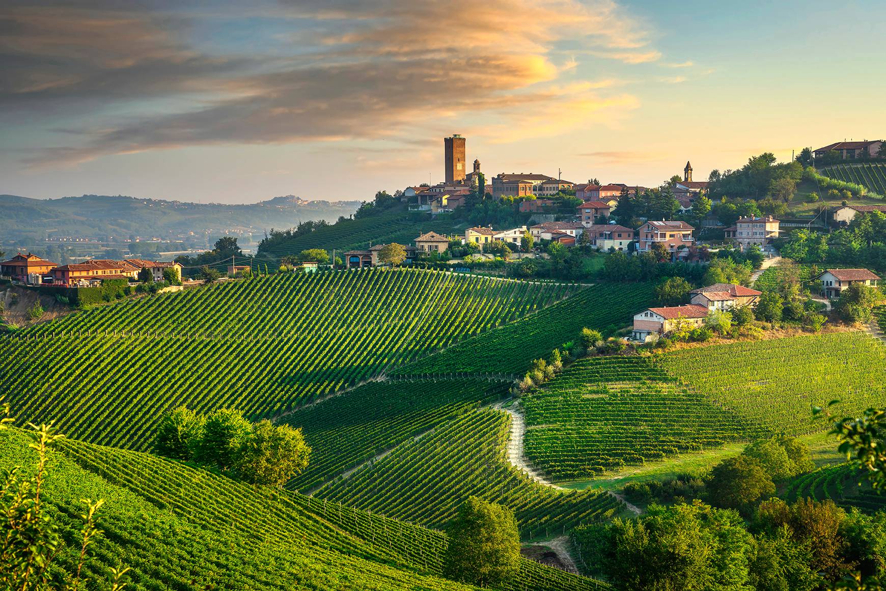 Barbaresco 2022 | Gardini Notes