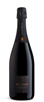 Franciacorta DOCG Pas Dosé Riserva 2011_Belon_du_belon