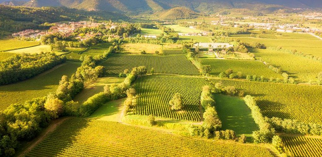 franciacorta.2025.panorama