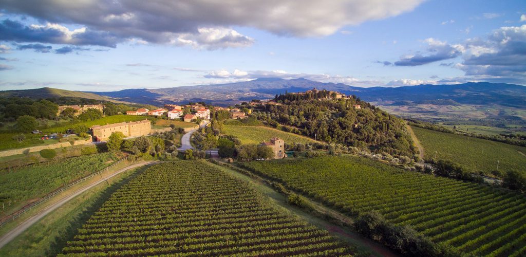 montalcino_wineyard